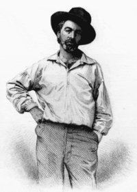 Walt Whitman Leaves Of Grass Frontispiece