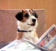Eddie, star of Frasier